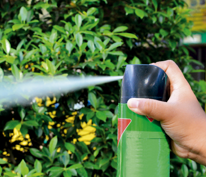 Química San Martín